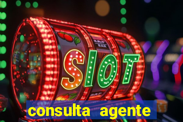 consulta agente autuador sp